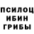 Псилоцибиновые грибы Cubensis marlonbeef