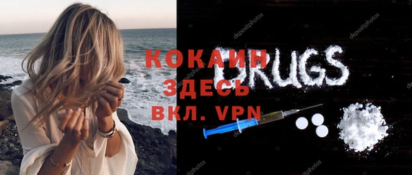 гидра Надым