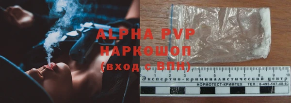 гидра Надым