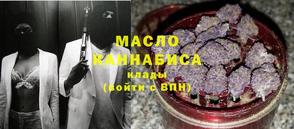 гидра Михайловск
