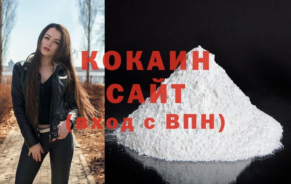 гидра Надым