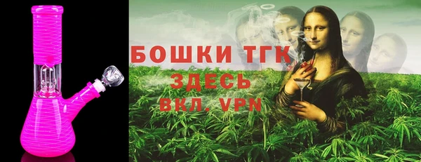 гидра Надым