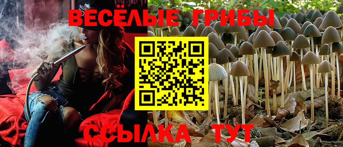 Псилоцибиновые грибы мицелий  Вход с VPN  Галлюциногенные грибы MAGIC MUSHROOMS  Морозовск 