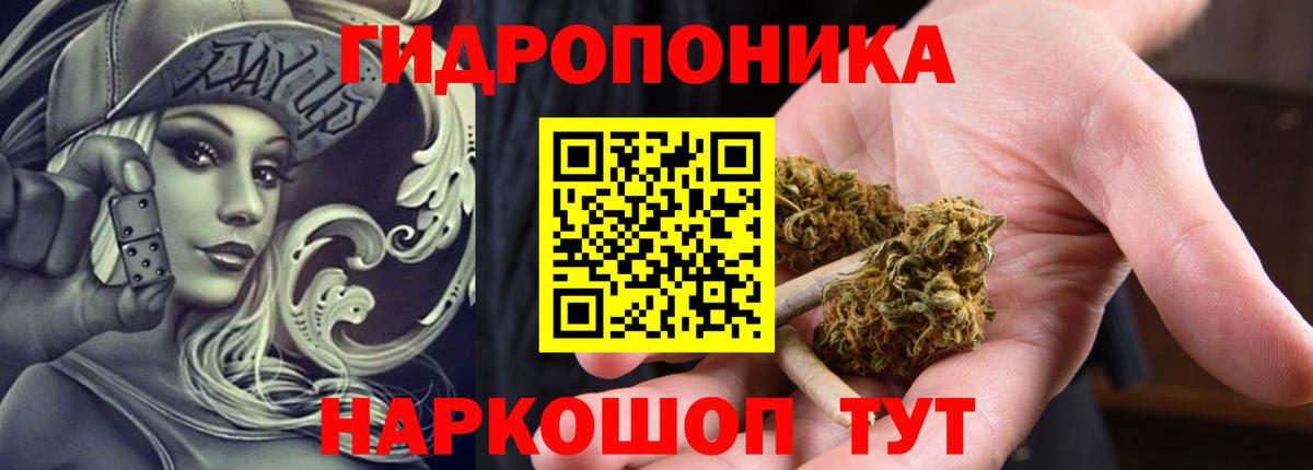 Канабис планчик Морозовск